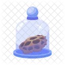 Glass Dome Bell Cloche Glass Cloche Icon