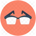 Spectacles Glasses Sunglasses Icon