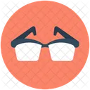 Spectacles Glasses Sunglasses Icon