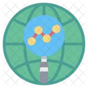 Globe Magnifying Glass Report Icon
