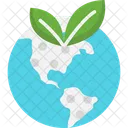 M Globe Icon
