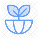 Ecology Ui Icon Color Icon