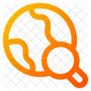 Global search  Icon
