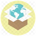 Globe International Delivery Icon