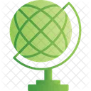 Globe Country Earth Icon