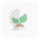 Plant Globe Green Icon