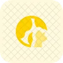 Globe Satellite  Icon