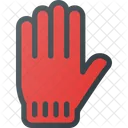 Glove Winter Corl Icon