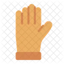 Glove  Icon