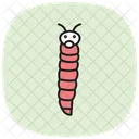 Glowworm Insect Glow Icon