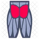 Glúteos  Icono