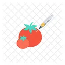 GMO Food  Icon
