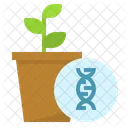 Gmo Plant  Icon