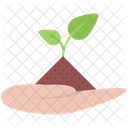 Hand Earth Sprout Icon