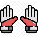 Goalkeeper Gloves Soccer Icon
