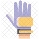 Goalkeeper Gloves  Icon