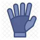 Goalkeeper Gloves Catch Icon