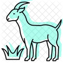 Goat Eating Grass Goat Eating Icon