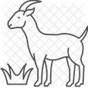Goat Eating Grass Goat Eating Icon