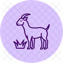 Goat Eating Grass Goat Eating Icon