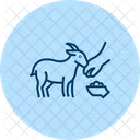 Goat Feeding Scene Goat Feeding Icon