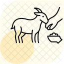 Goat Feeding Scene Goat Feeding Icon