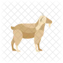 Goat Beige Horns Icon