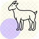 Goat Pet Mammal Icon