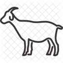 Animal Land Animal Terrestrial Animal Icon