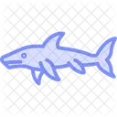 Goblin Shark Wrasse Ocean Icon