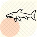 Goblin Shark Goblin Shark Icon