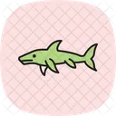 Goblin Shark Goblin Shark Icon