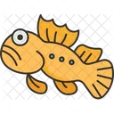 Goby  Icon