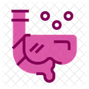 Snorkel Diving Scuba Icon