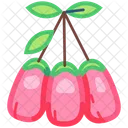 Goji Berry Wolfberry Icon