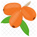 Goji Berries  Icon