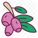 Goji Berries  Icon