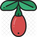 Goji Berry Fruit Icon