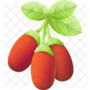 Goji Berry Goji Berry Icon