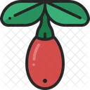Goji Berry Fruit Icon