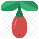 Goji Berry Fruit Icon