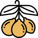 Goji Berry Goji Berry Icon