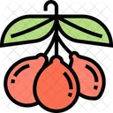 Goji Berry Goji Berry Icon