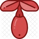 Goji berry  Icon