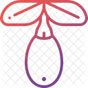Goji Berry Fruit Icon