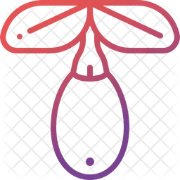 Goji berry  Icon