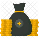 Bag Gold Money Icon