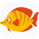 Gold fish  Icon