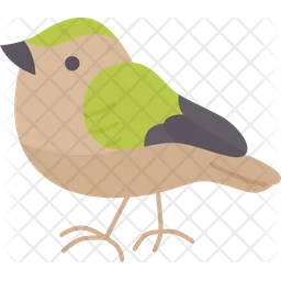 Goldcrest  Icon