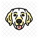Golden Retriever Dog Icon